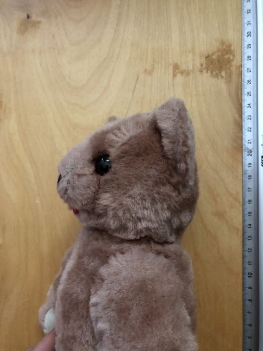 Ведмідь вінтаж