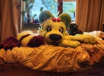 Fursuit mini partial furry