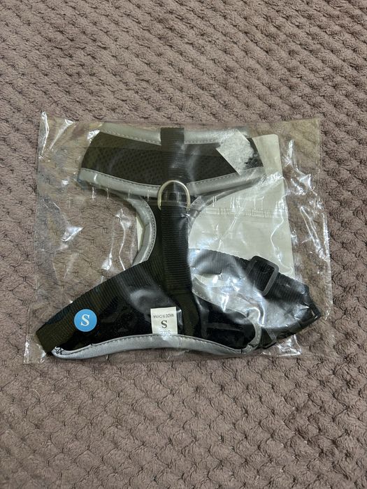 KIT de Animais para Passeio