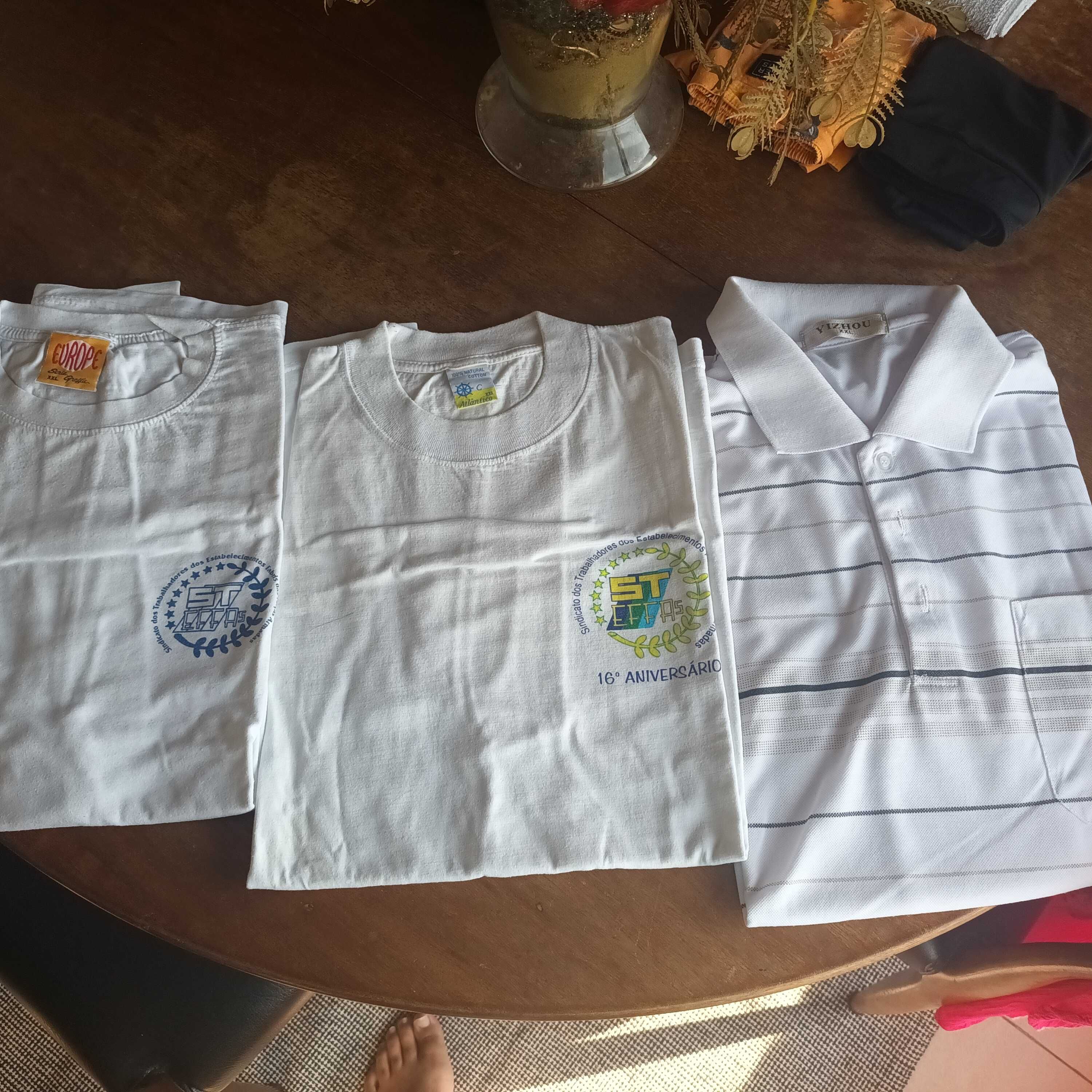 Polo/t-shirts novos
