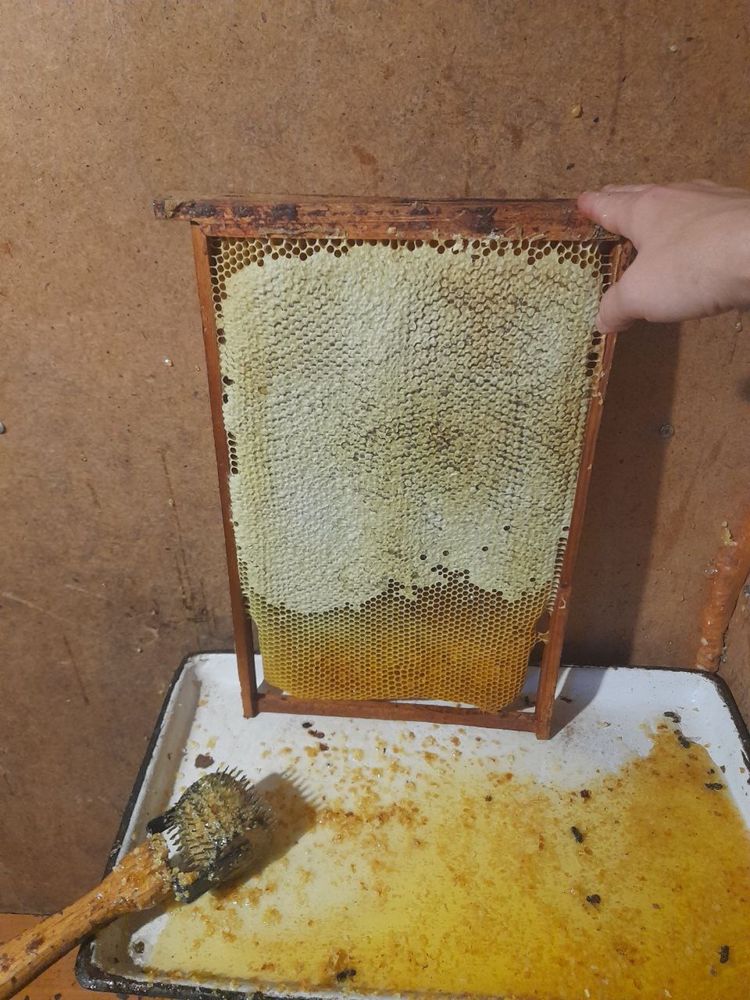 домашній натуральний, якісний мед