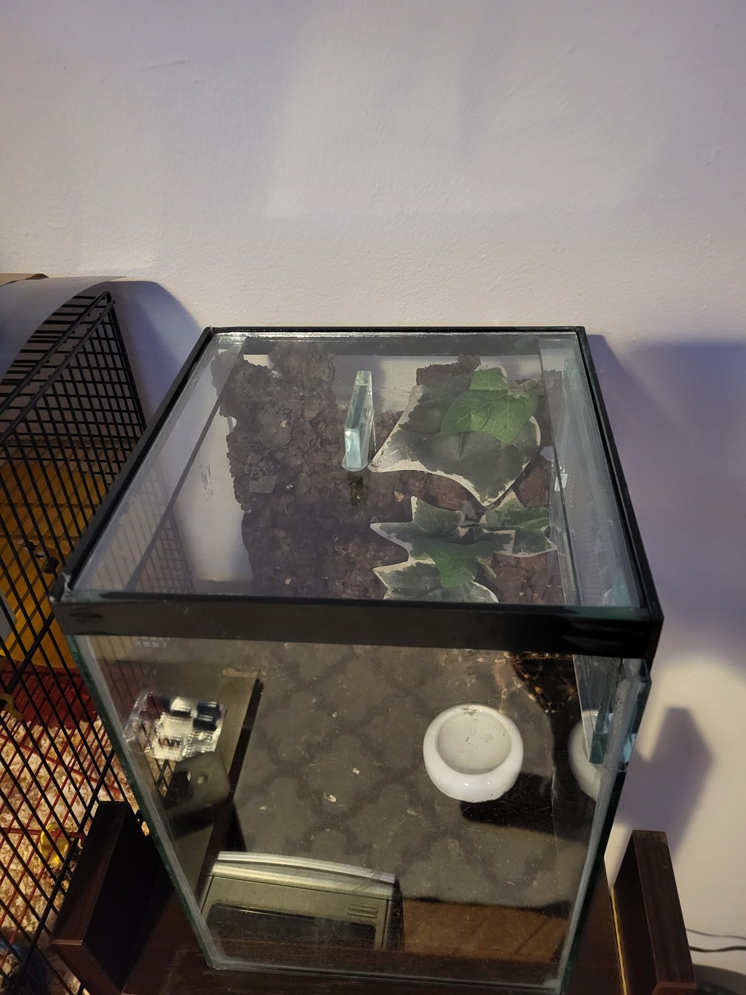 Terrarium dla pająka itp.