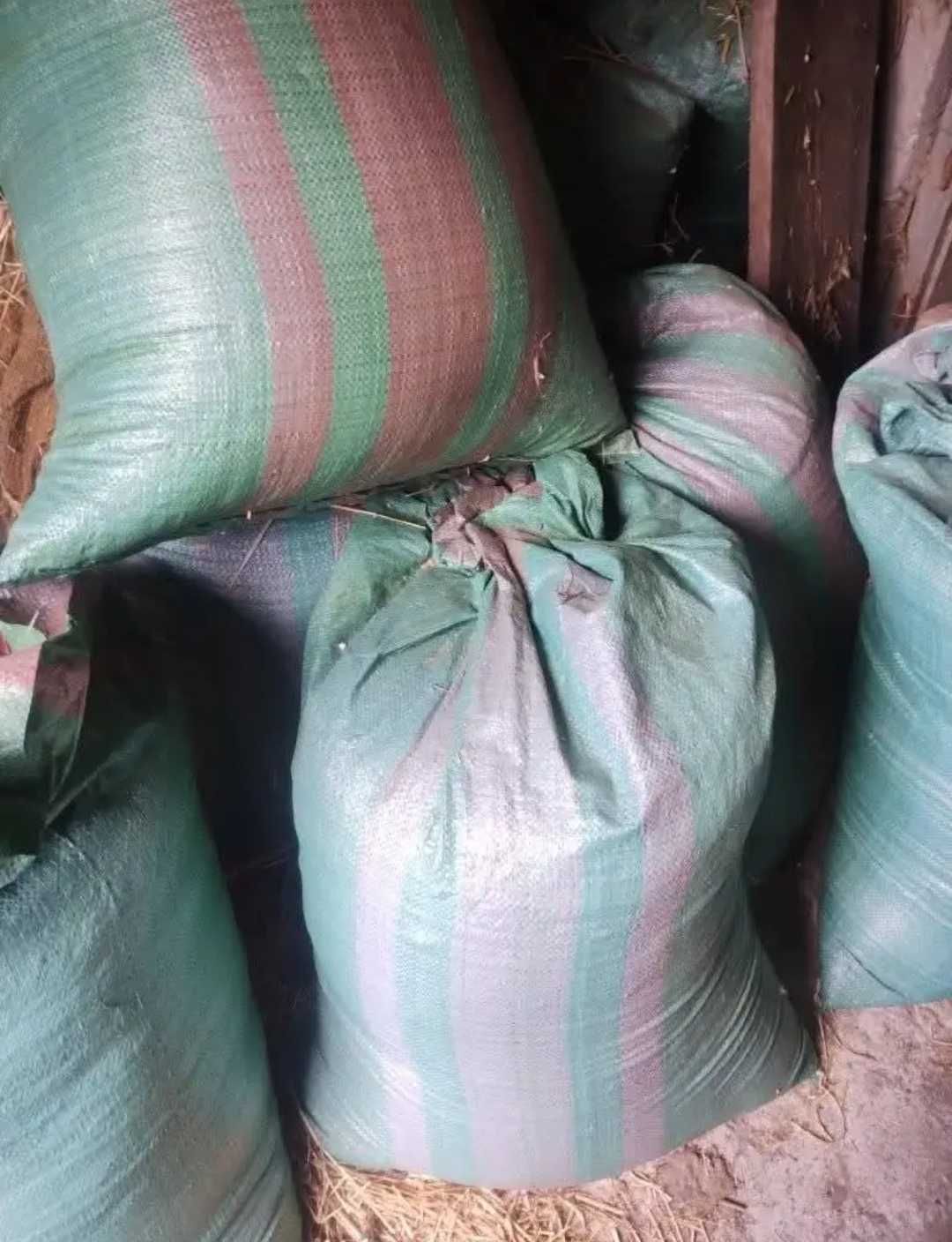 Trociny z obróbki suche