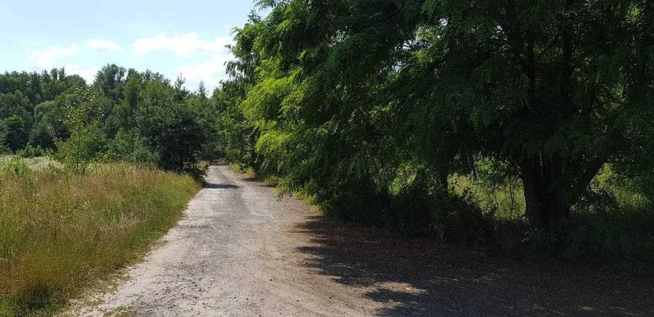 Село Діброва, траса на Одесу