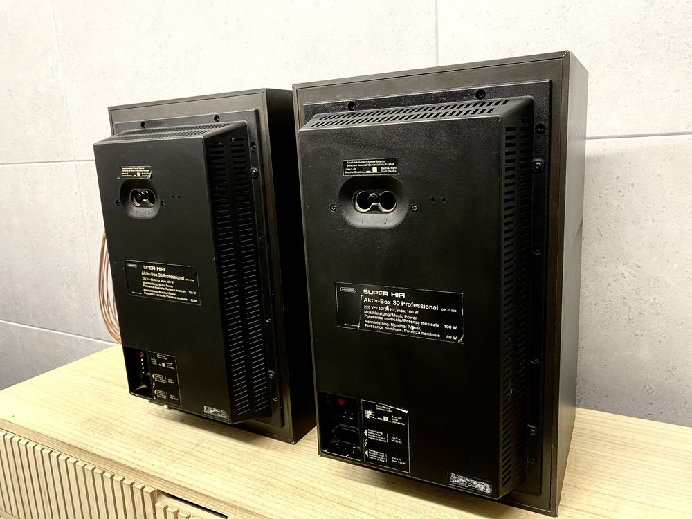 Grundig Professional Aktiv Box 30 - 100/80W - audiofilskie kolumny