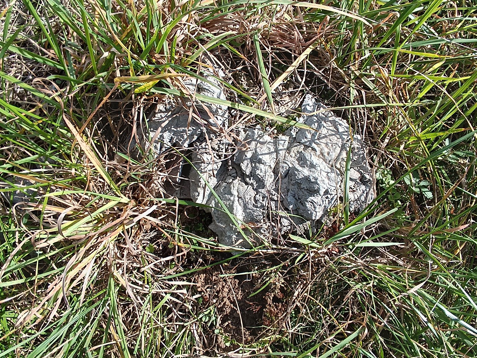 Oddam wapno Biadoliny Szlacheckie