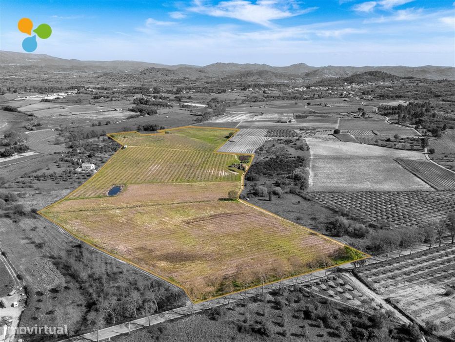 Pomar Inguias, Belmonte