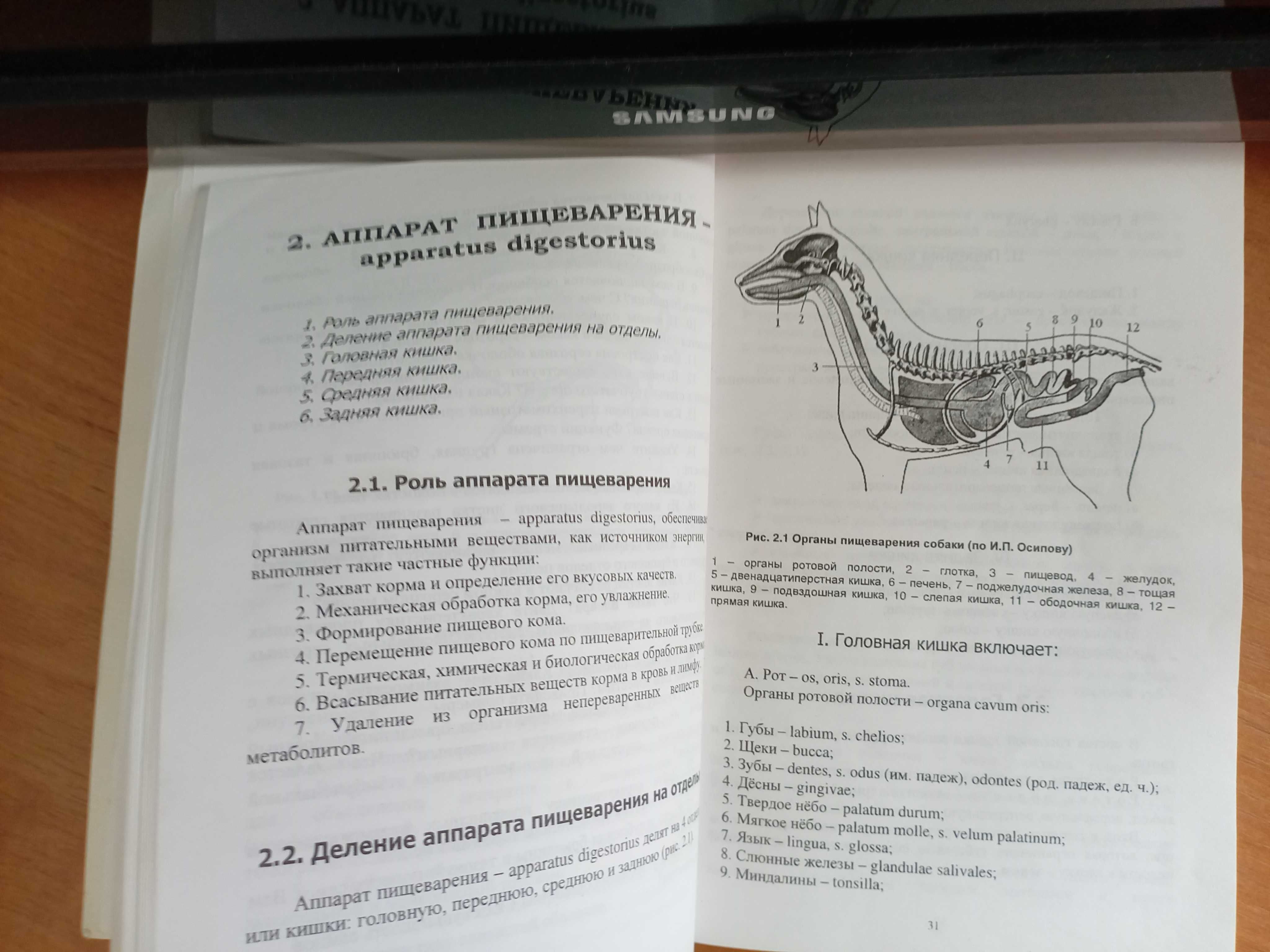 Книга Висцеральные системы домашних животных