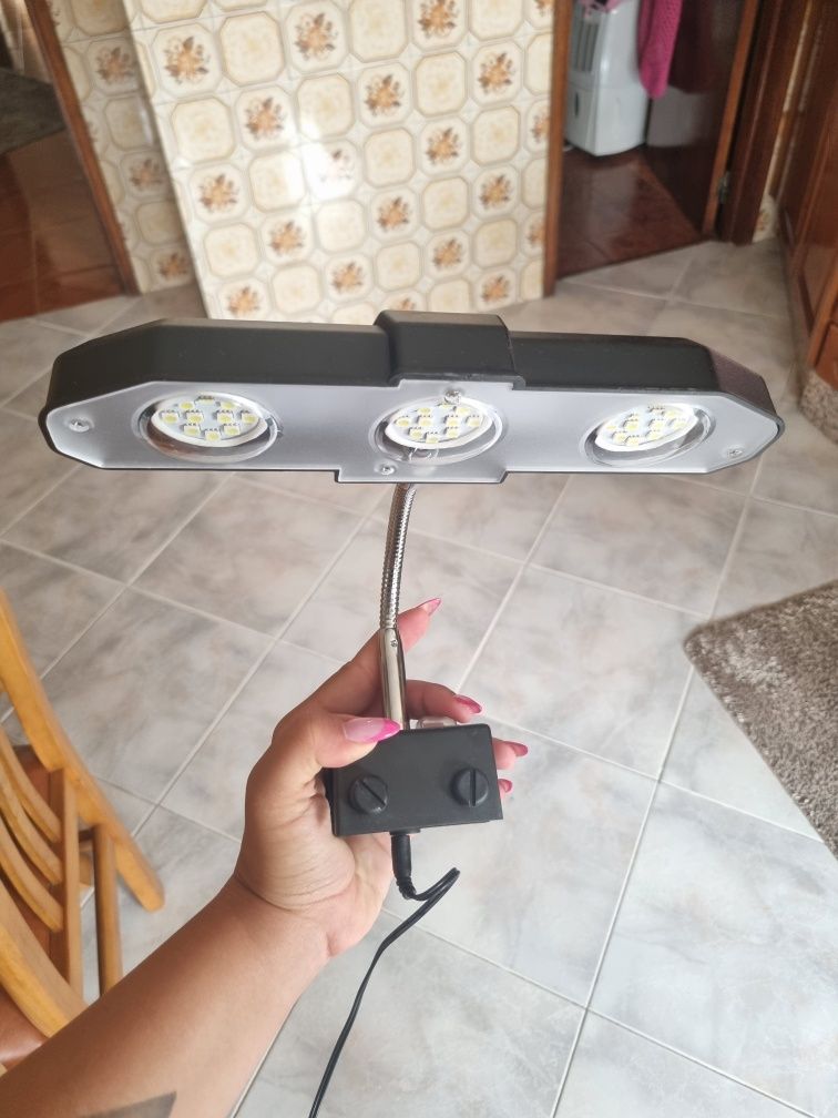 Lâmpada aquecimento tartarugas