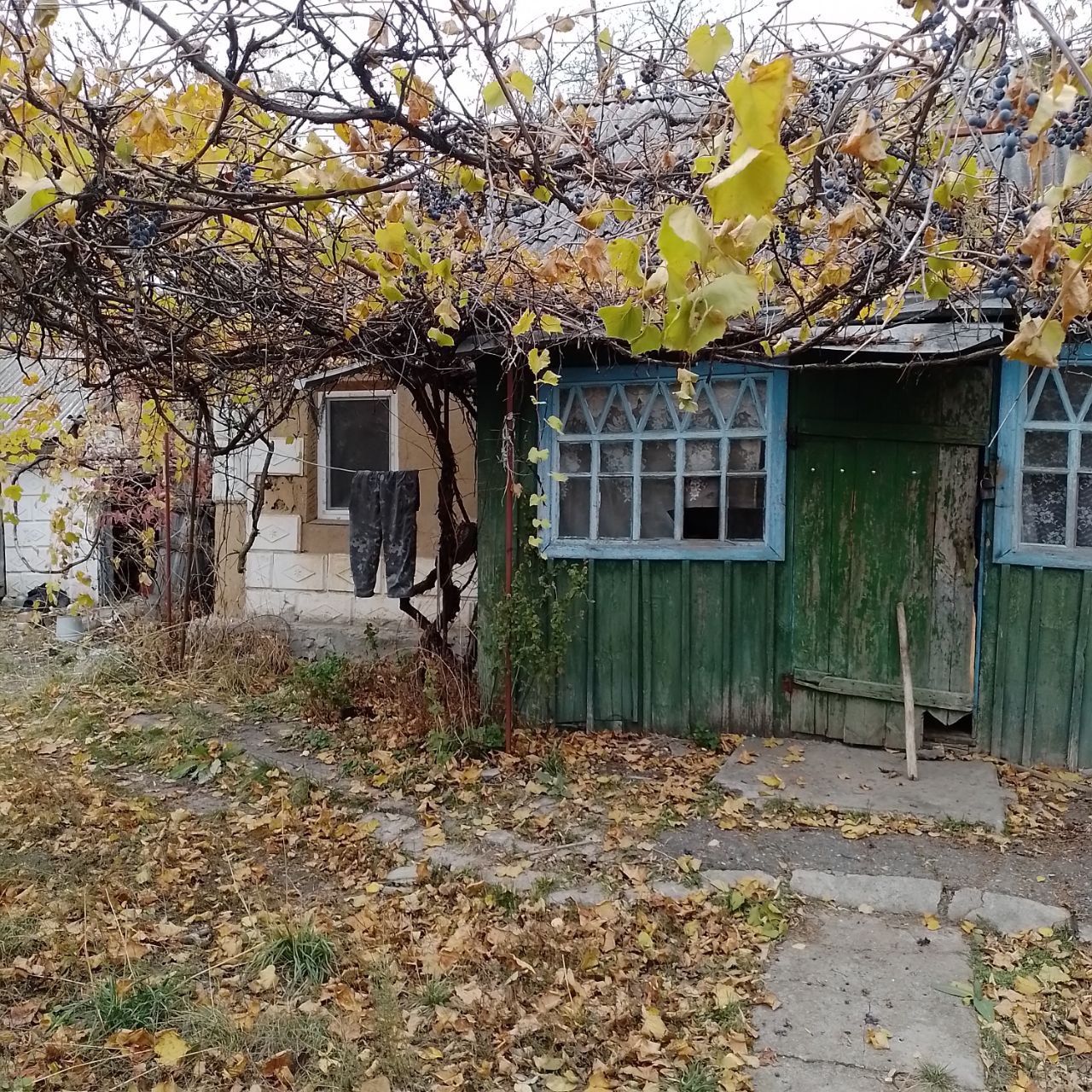 Продам участок с домом с. Васильевка