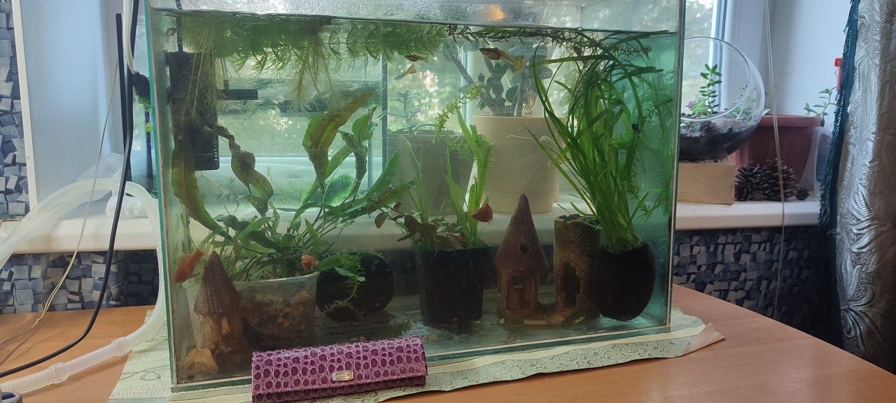 Аквариум 50 литров водоросли рыбки грот фильтр грунт