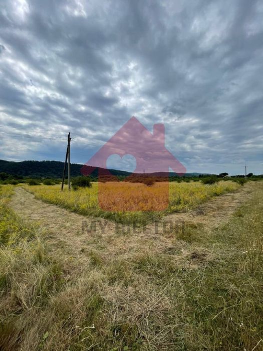 Пропонується до продажу земельна ділянка в селі.Невецьке