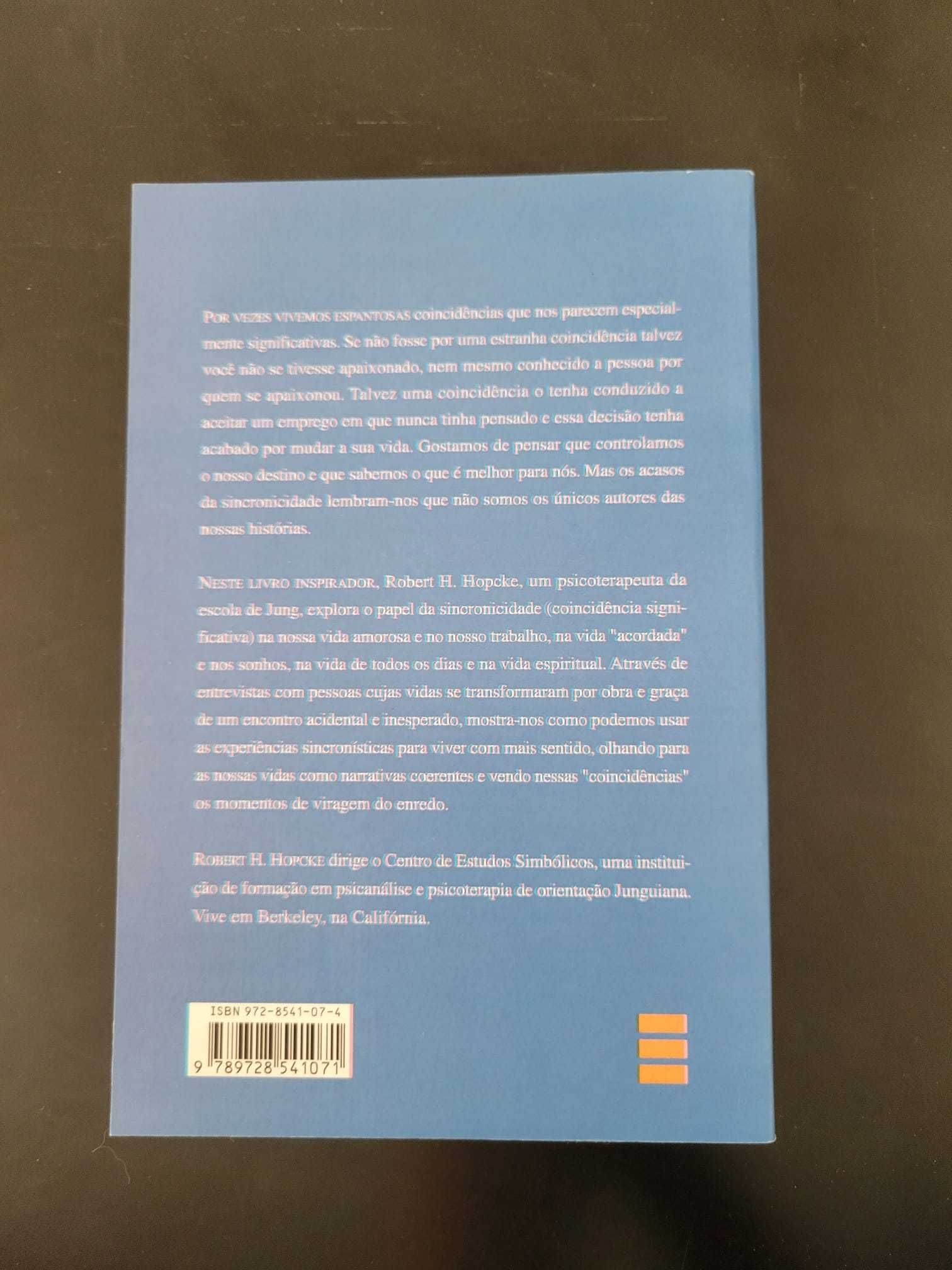 Não Há Acasos de Robert H. Hopcke