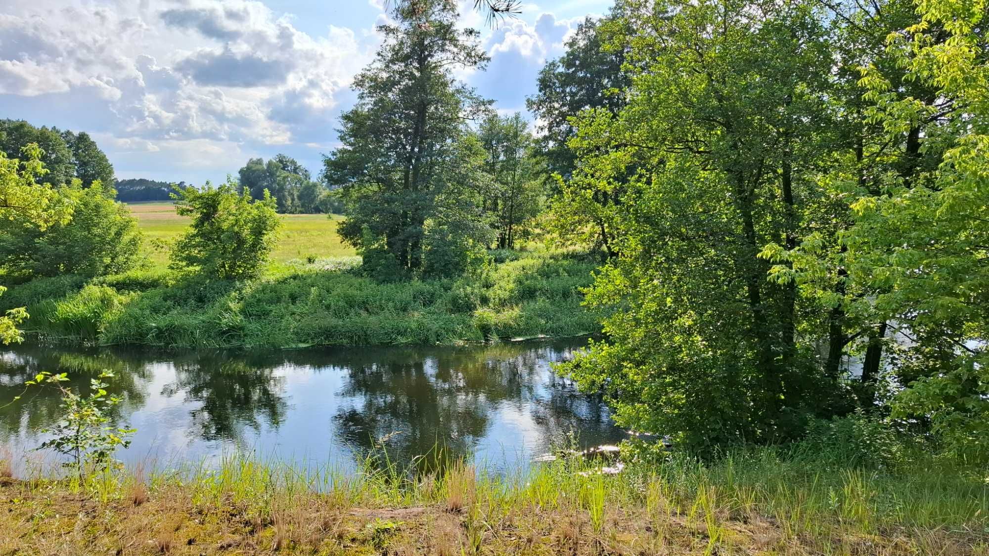 Działka 3,05 ha przy rzece Drwęca - łąka, las