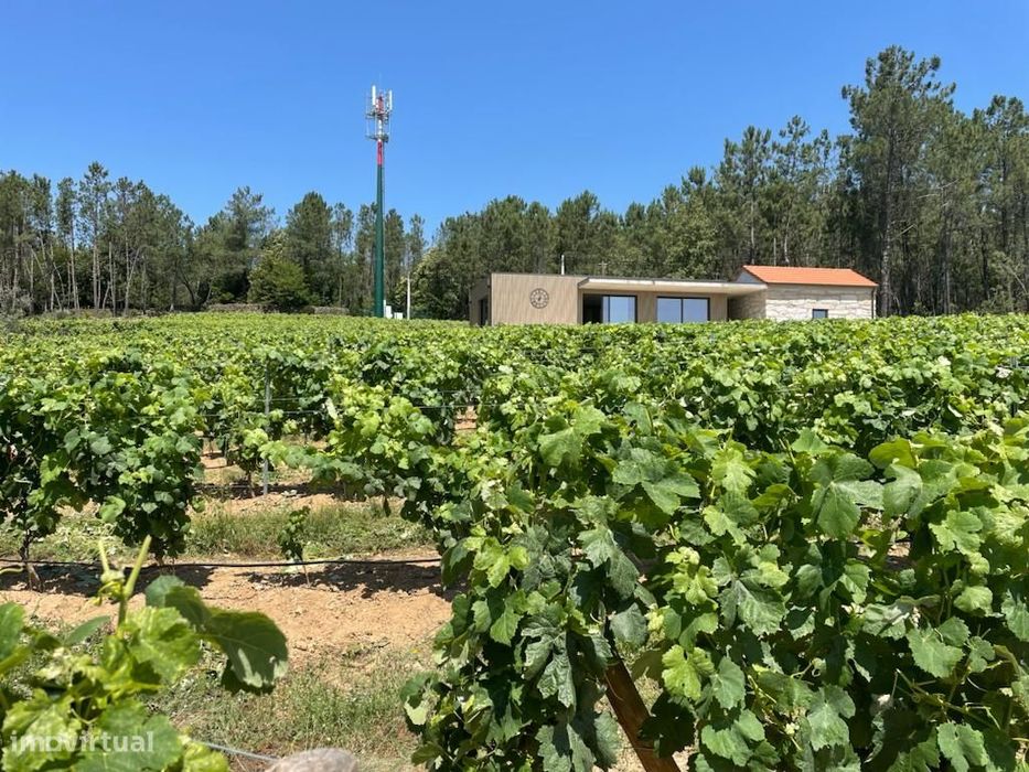 Quinta T0 Venda em Antas e Matela,Penalva do Castelo