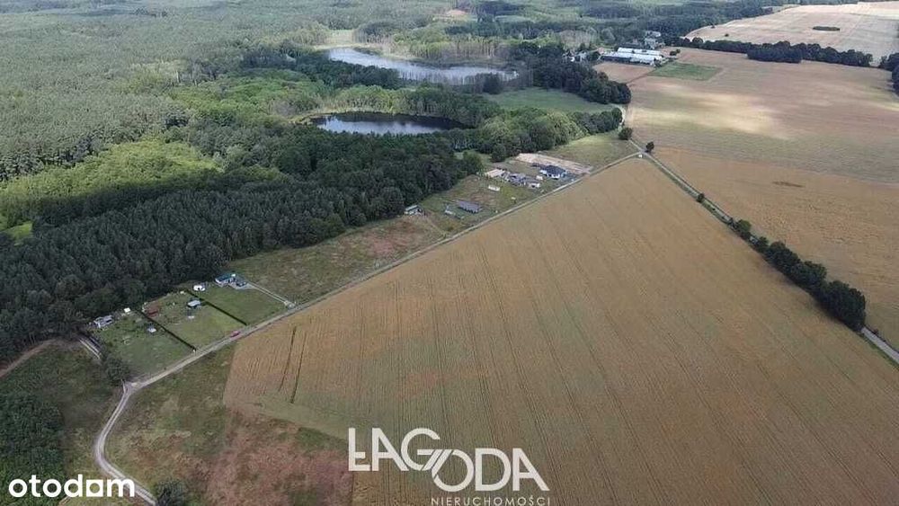 Działka 26,06 ha z DWOMA JEZIORKAMI