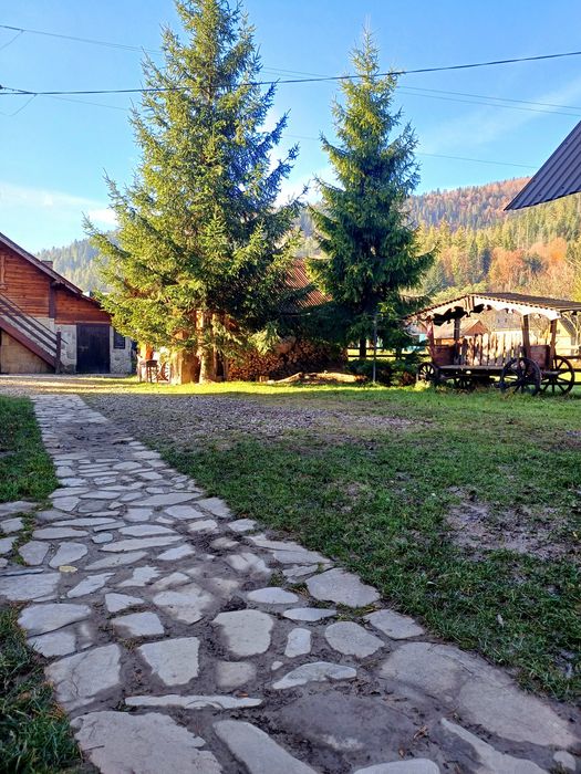 Котедж у Карпатах з чаном.