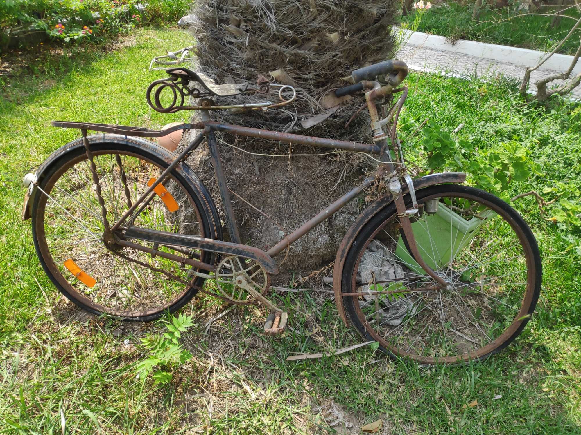 Bicicleta Coleção