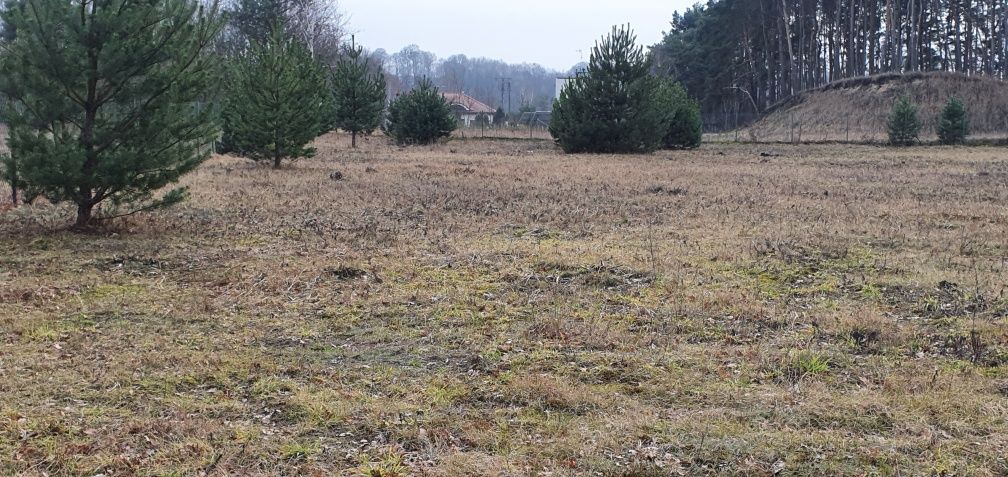 Działka budowlana w Ciechocinku