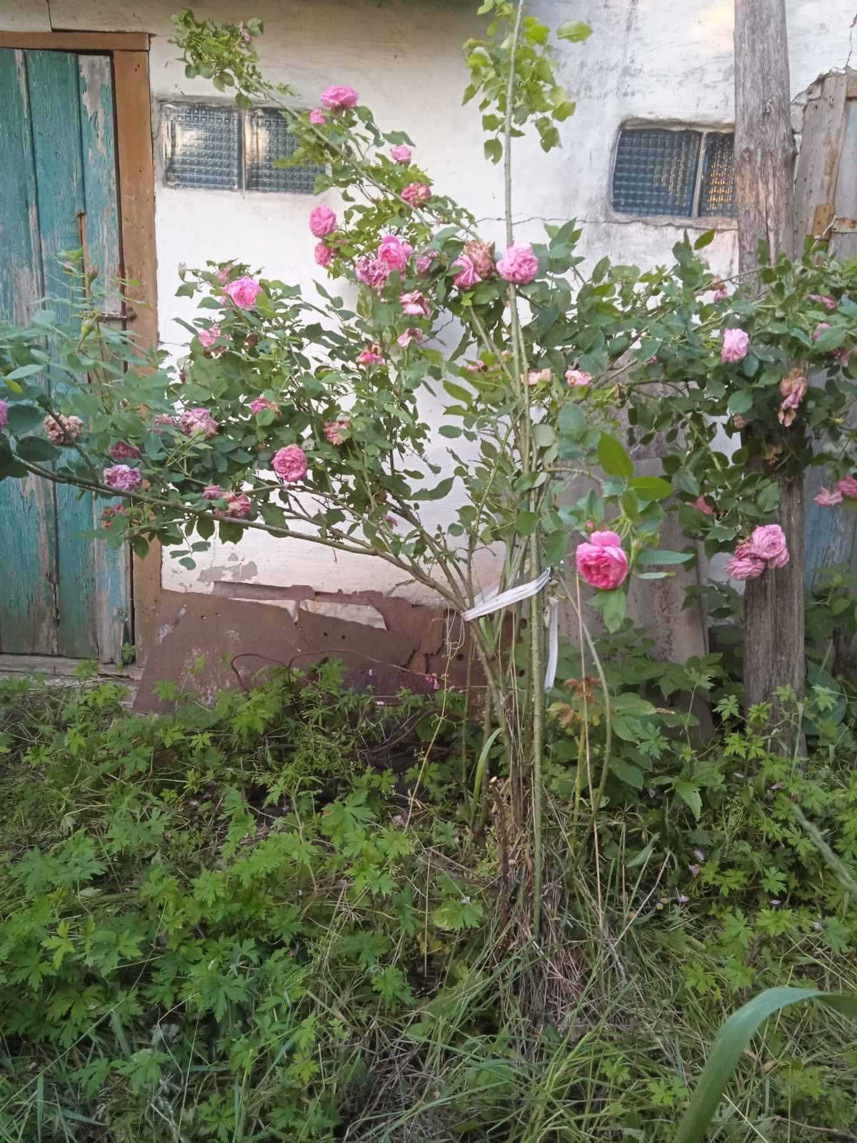Продам дачу у сел. Мохнач