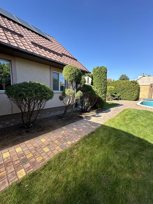 Стрижка хвойних рослин ,