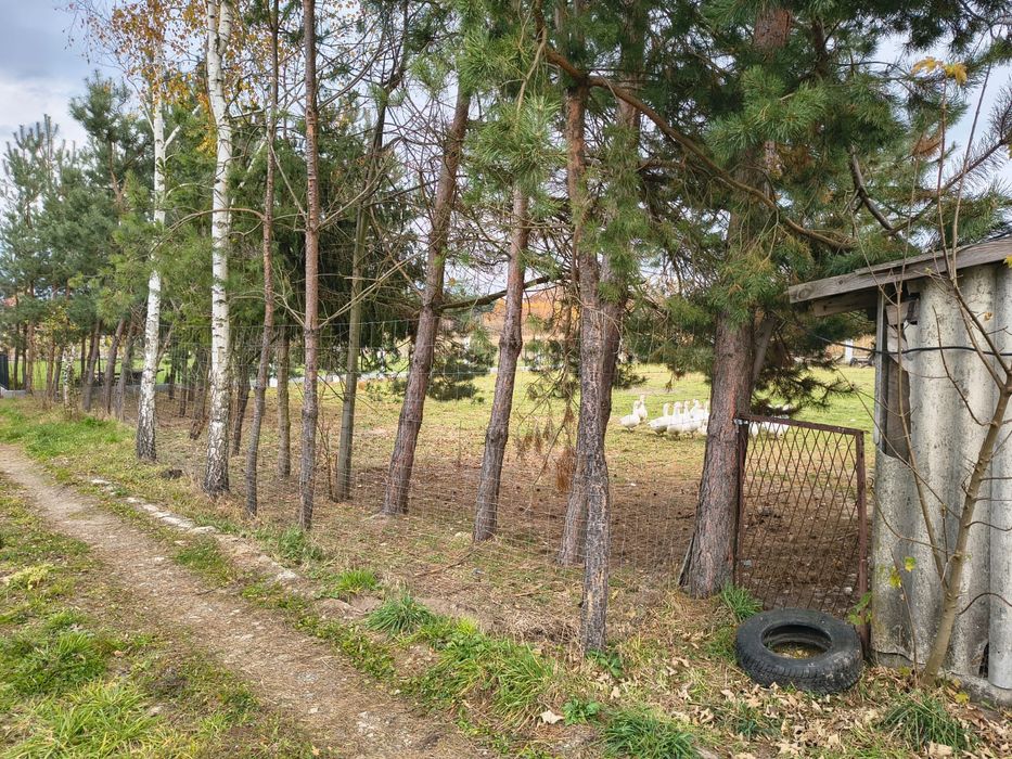 Działka 16 ar (5500 za 1 ar) .warunki zabudowy