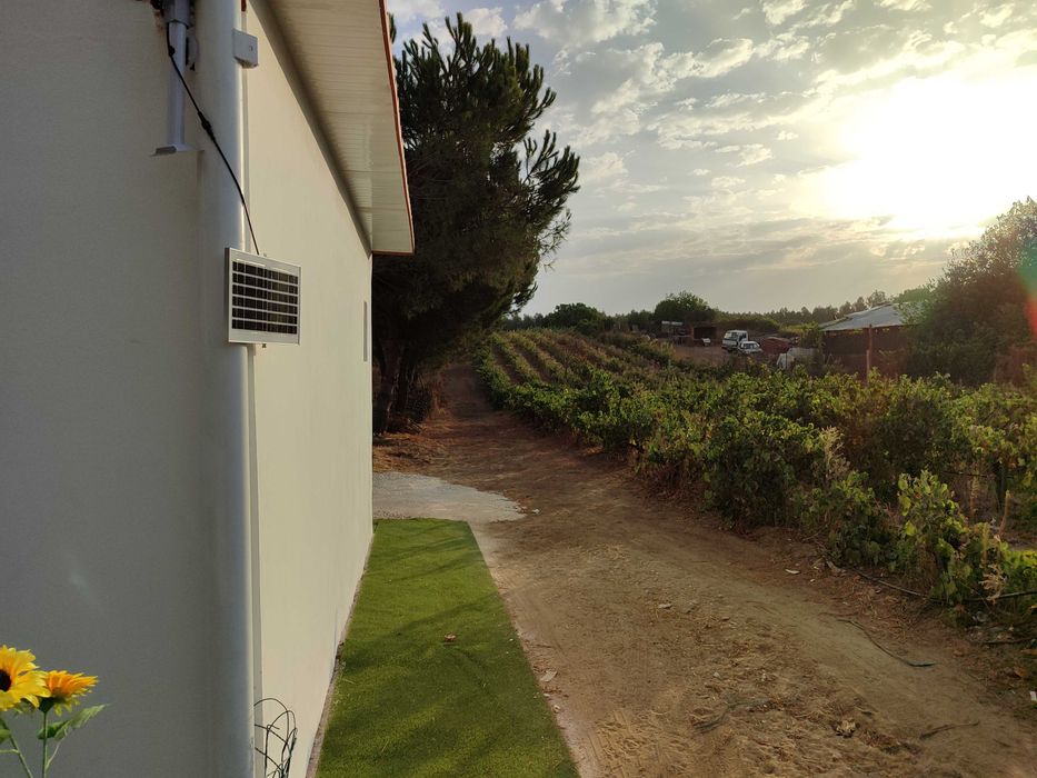 Arrendo quinta com casa remodelada no campo perto de Almeirim