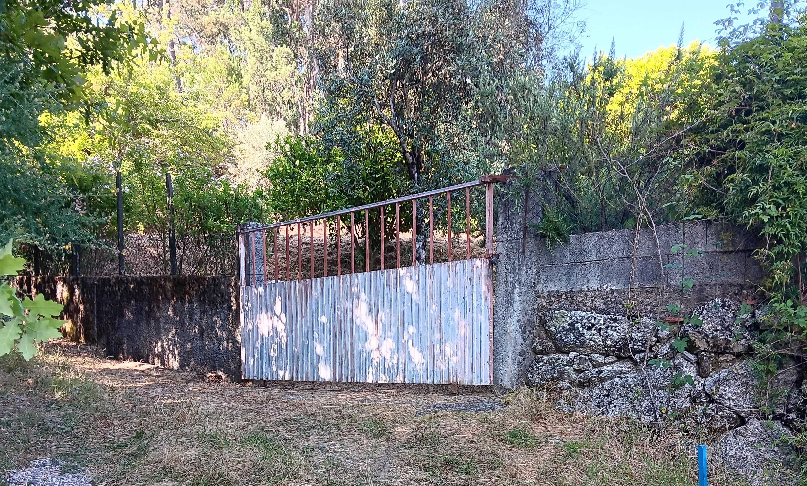 Quintinha agrícola