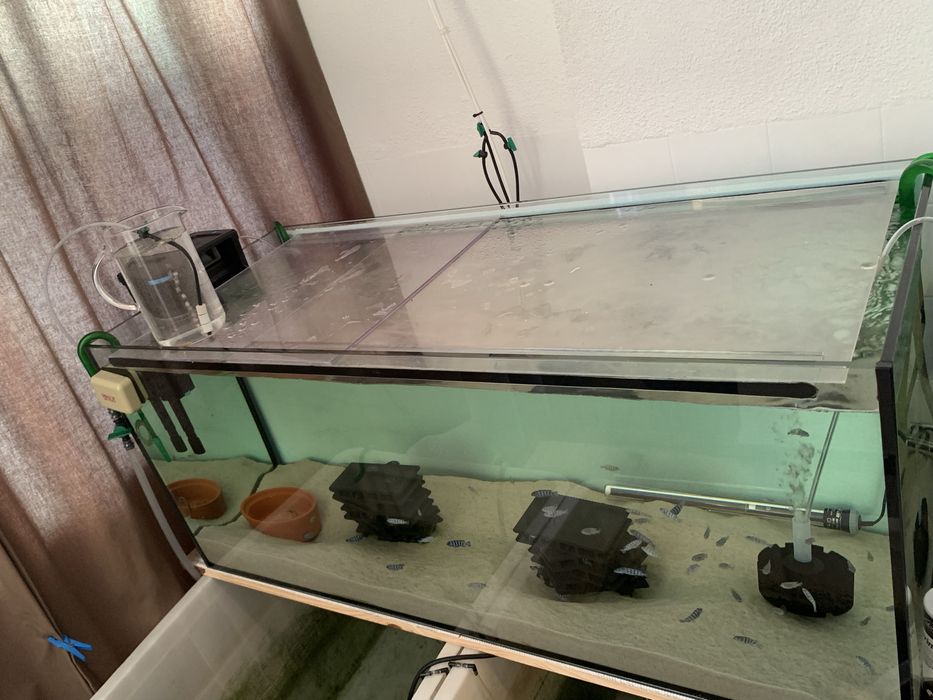 Vendo aquario como novo sem riscos!