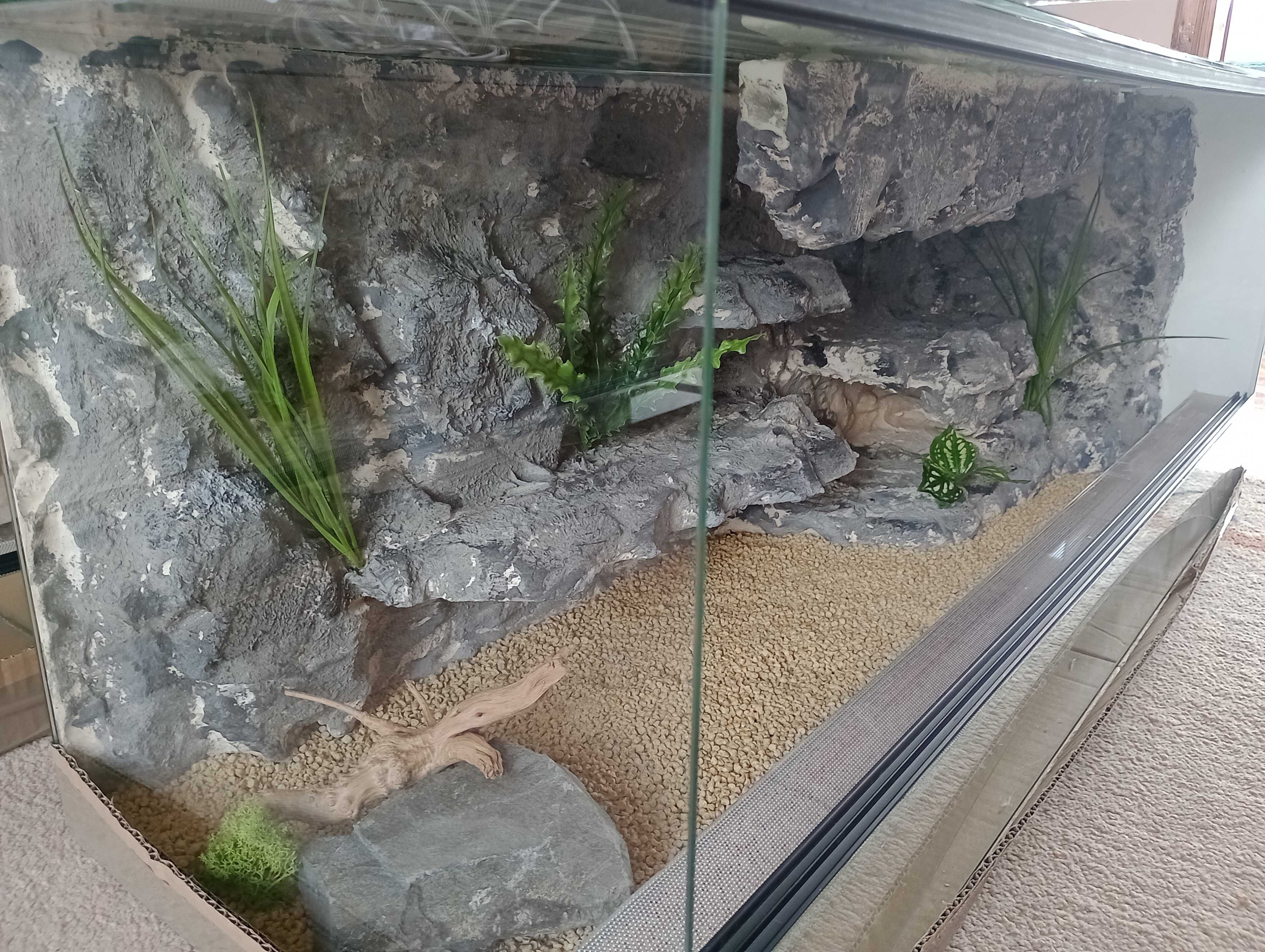 Terrarium agama gekon wąż żółw