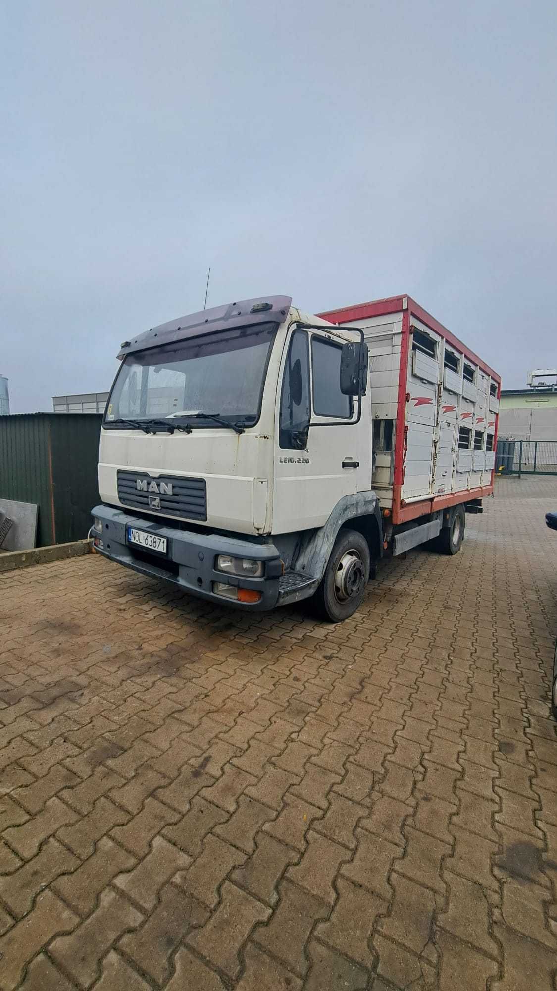 MAN 10.225 LC do przewozu żywca