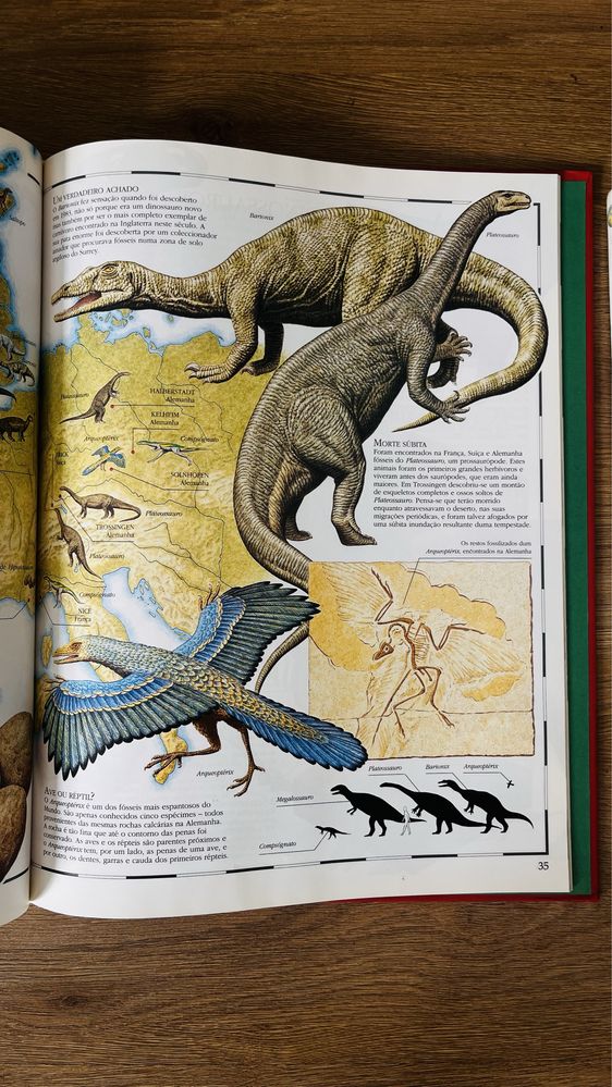 Atlas ilustrado - 3 volumes