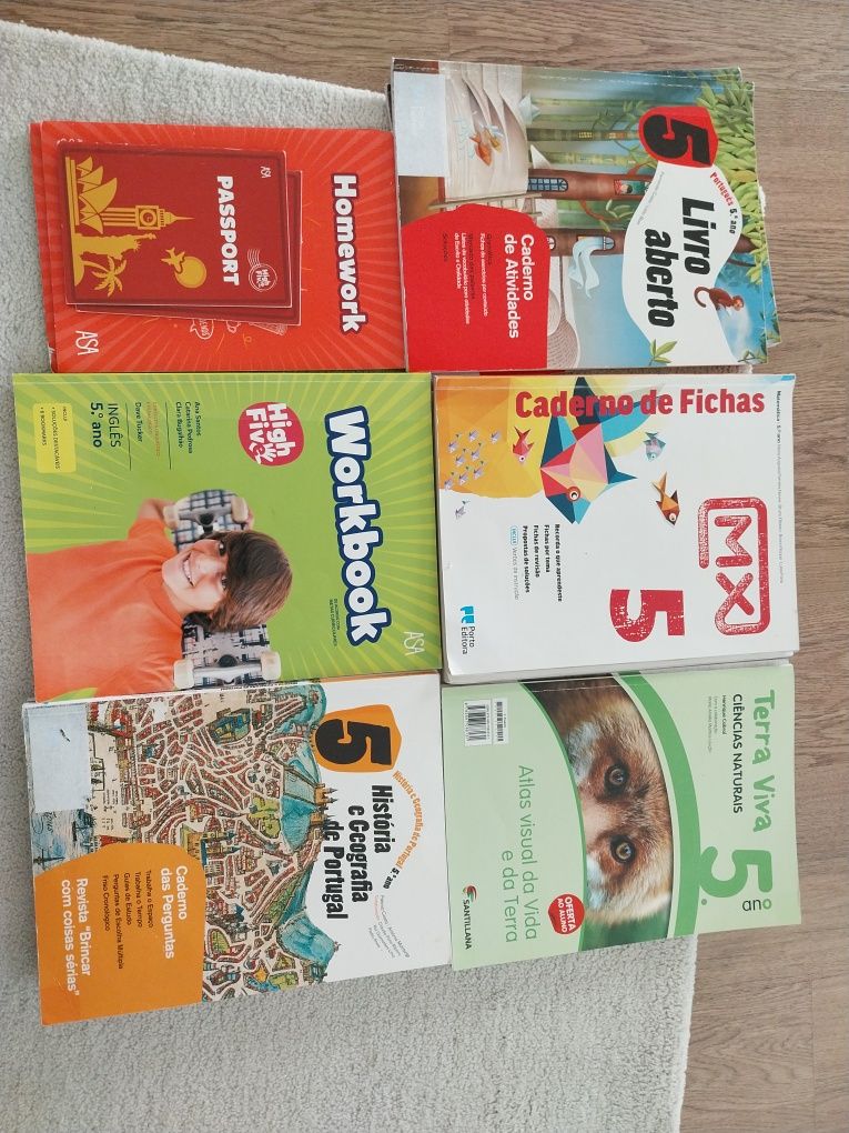 Cadernos de exercícios 5 ano usados