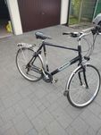 Rower Altra Prisma