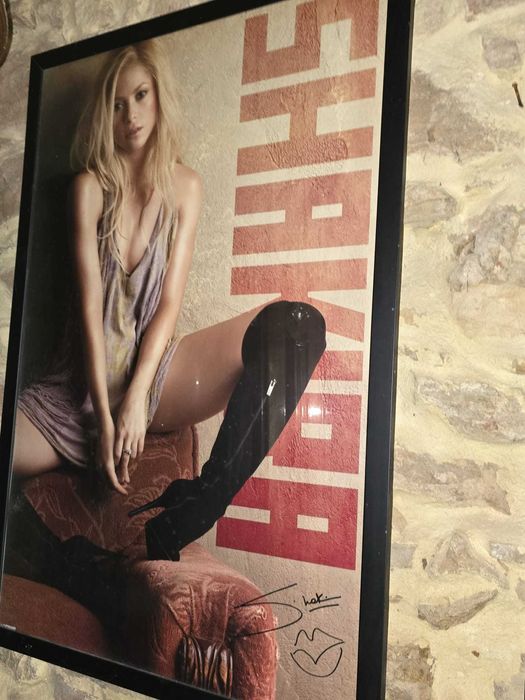 Quadro da Shakira