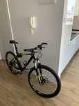 Scott Scale 30 Carbon