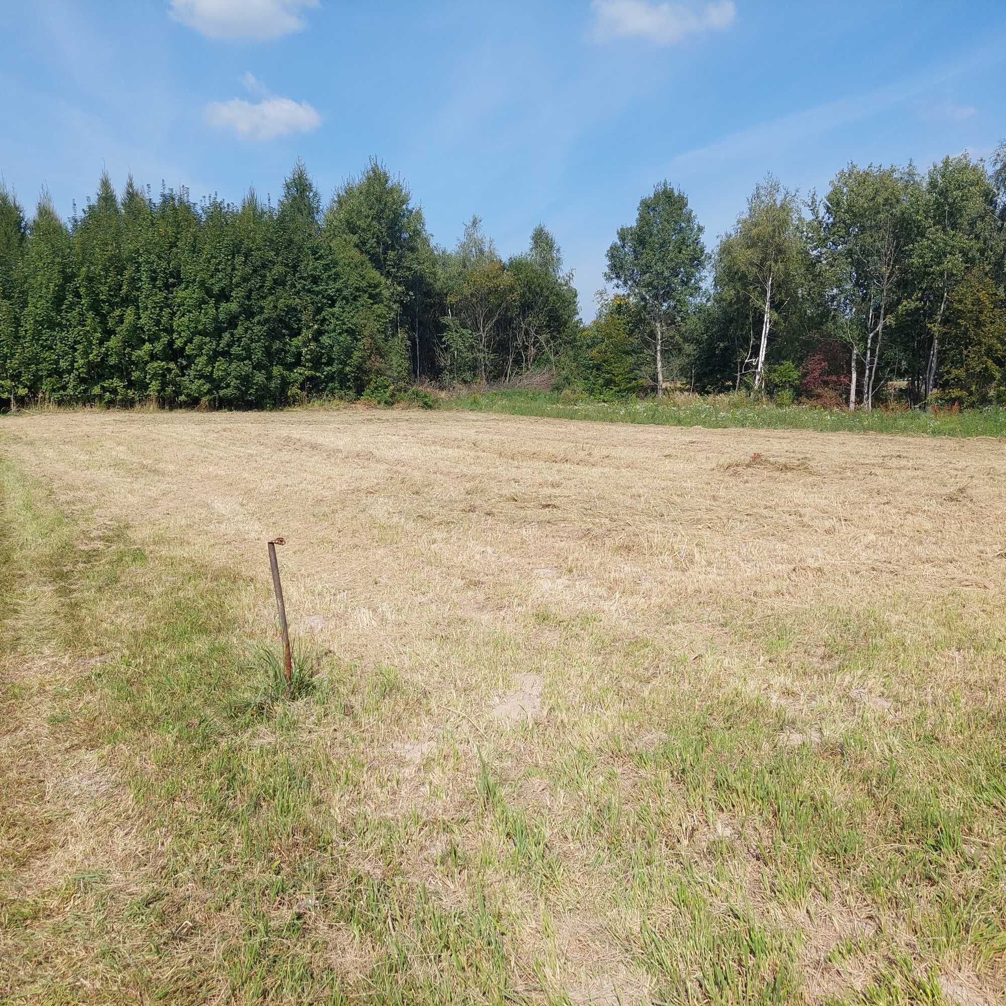 Działka 13 arów m.Majdanek Gmina Tomaszów Lub.