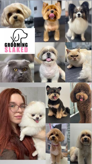 Грумінг, стрижка собак та котів грумер Ірина Київ Троєщина Троещина