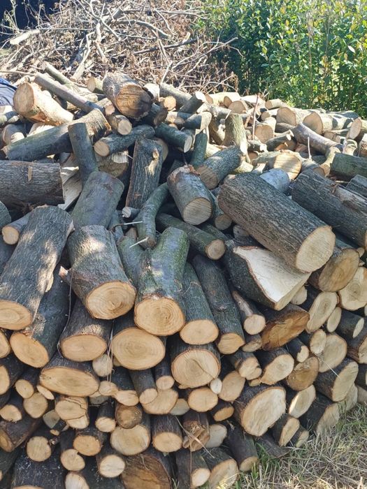 Sprzedam drewno  dąb / bukowe kantówki