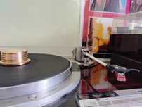 Gira discos Viktor QL-Y55 f