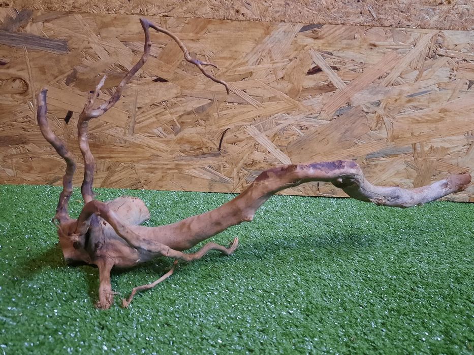 Korzeń do akwarium Red Moore Wood nr 1173 o wymiarach 41/15/23