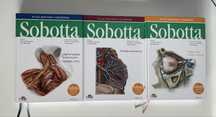 Atlas Anatomii Sobotta
