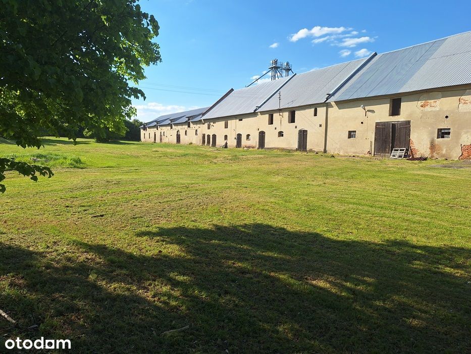 Grunt inwestycyjny rolny ziemia grunt orny budynki magazynowe