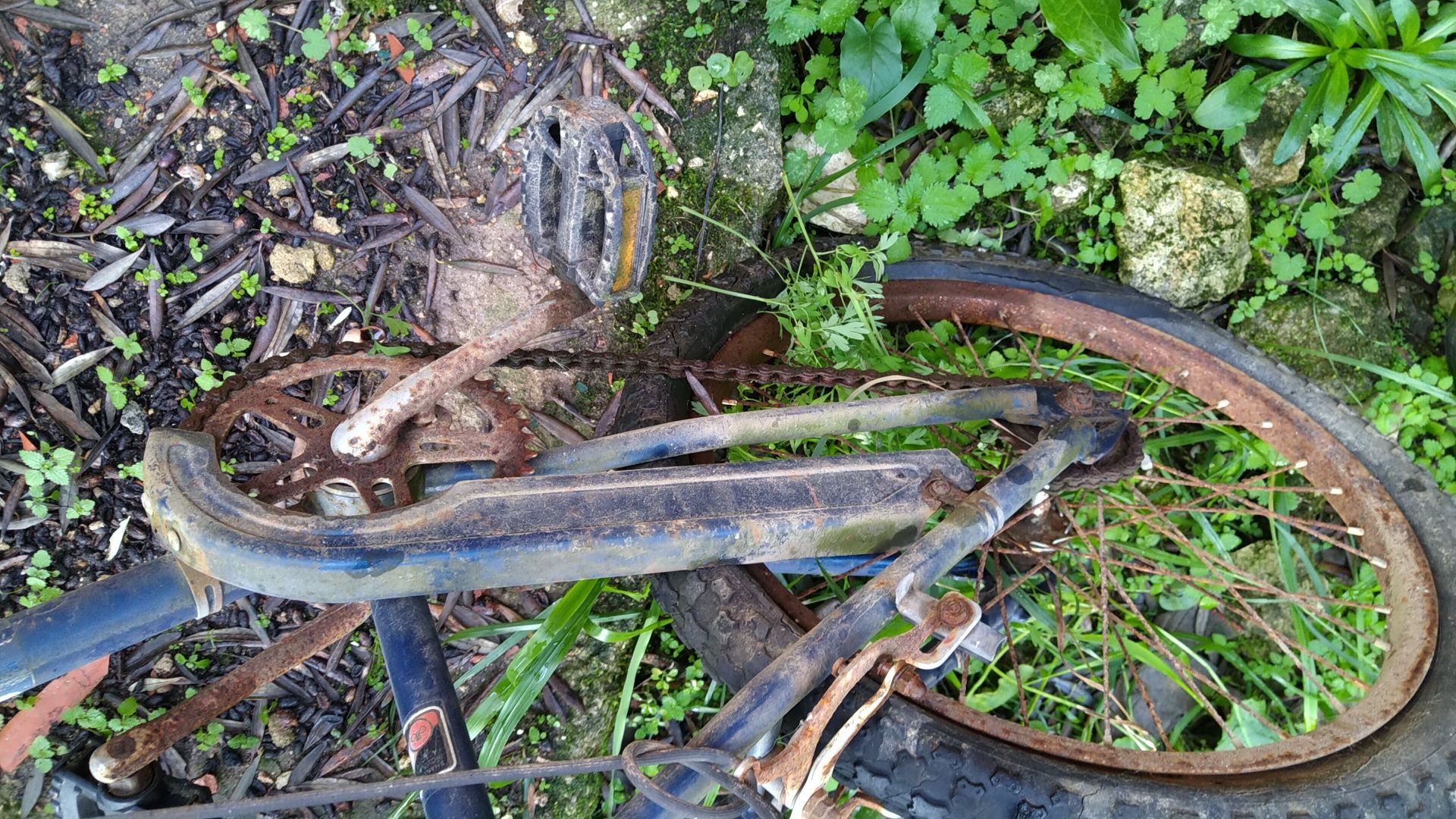 Bicicleta antiga BMX forever