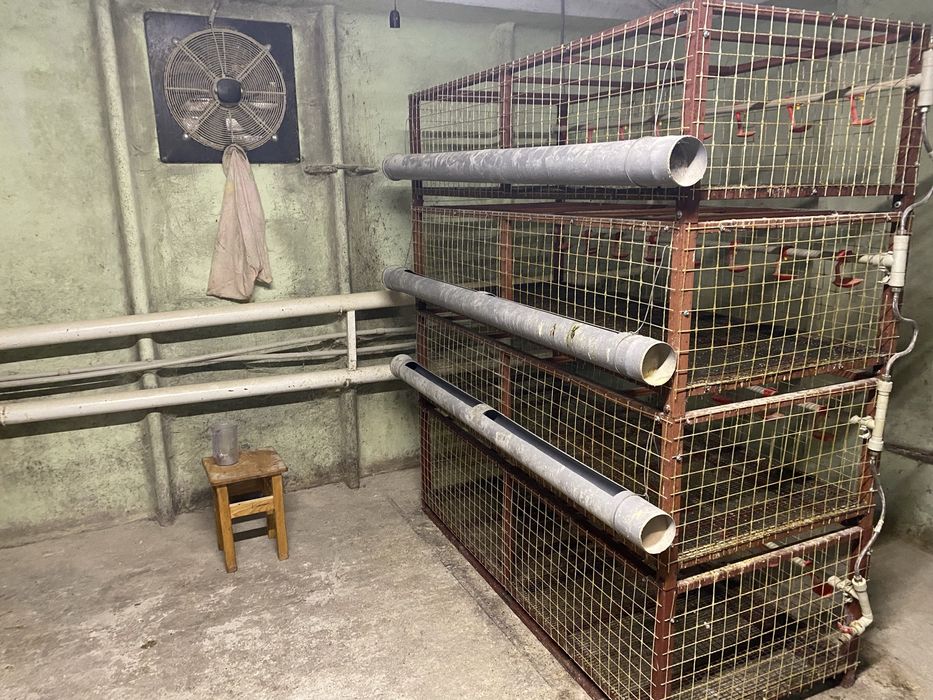 Клетки для броллера б/у