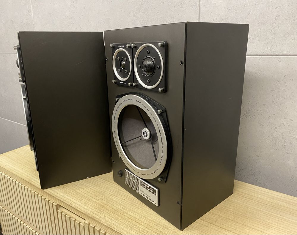 Grundig Professional Aktiv Box 30 - 100/80W - audiofilskie kolumny
