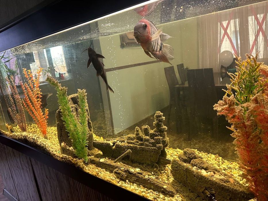 Продам Дом Кирпич Коттедж ЗОЛОТЫЕ КЛЮЧИ Слобожанское Правда