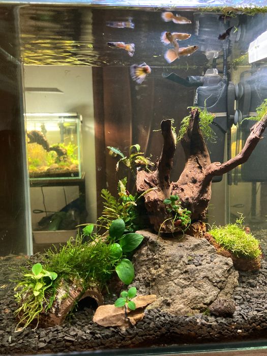 Фільтр для акваріума Акваель фан міні