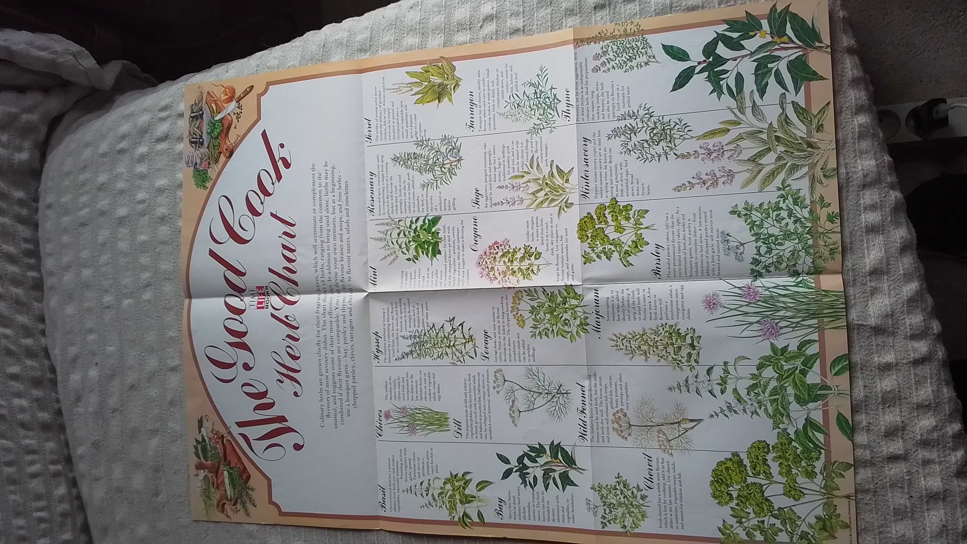 Coleção de livros de cozinha, em inglês, da Time Life