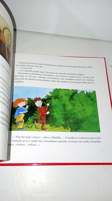 Os Primos e a Bruxa Cartuxa - Ana Maria Magalhães